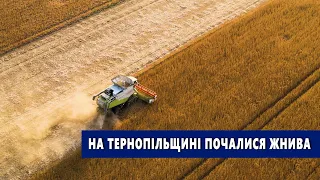 На Тернопільщині почалися жнива