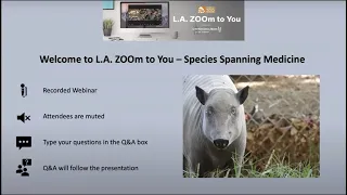 L.A. ZOOm to You: Species-Spanning Medicine