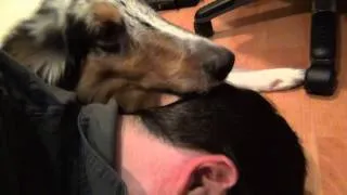 my male dog love my husband