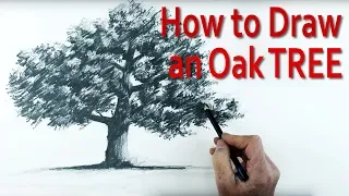 A Simple Method of How to Draw an Oak Tree using Pencil