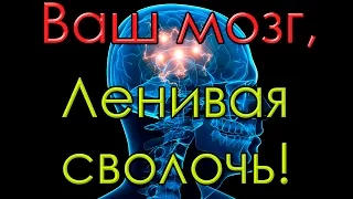 Ваш мозг ленивая сволочь / частоты мозга