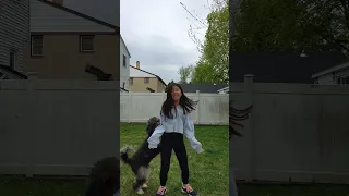 #oliviayoon #dance #fail #dog #doginterups