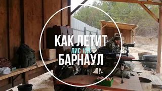 Как летят патроны Барнаул из Baikal Лис-121? Влияет ли ДТК на кучу?