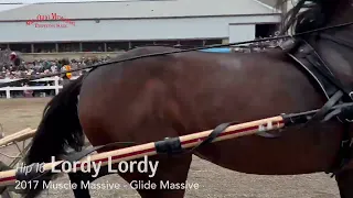 Hip 16 Lordy Lordy, $1.375 Million | 2022 Mid Ohio Memorial Trotting Sale