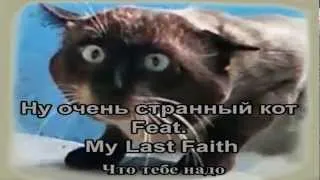 Ну очень странный кот Feat  My Last Faith   Что тебе надо