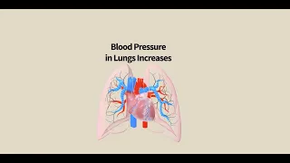 High Blood Pressure in the Lungs: Understanding PAH