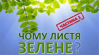 Чому листя зелене. 1 частина [MinuteEarth]