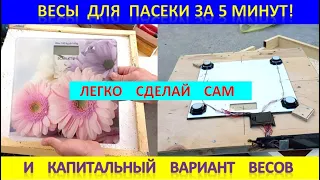 Весы для пасеки за 5 минут или капитальный вариант! #весыпасека #весыпчеловода #apiary #scalesapiary