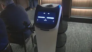 New restaurant features robotic servers