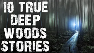 10 TRUE Disturbing Deep Woods Scary Stories | Horror Stories To Fall Asleep To