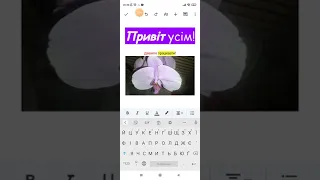 Google документ онлайн з Google диску.