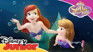 Ariel Helps Sofia | Sofia the First 👑 | Disney Junior Arabia