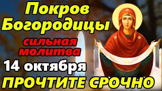 Самая СИЛЬНАЯ МОЛИТВА Богородице в праздник Покров Пресвятой Богородицы 14 октября