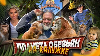 Зоопарк в Москве (Новой Москве) | Планета обезьян, зоопарк на Калужском шоссе | Куда в выходные?