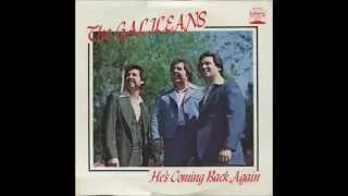 "He's Coming Back Again" - Galileans (1978)