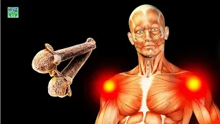 If You Start Eating 2 Cloves A Day, This Is What Happens To Your Body !