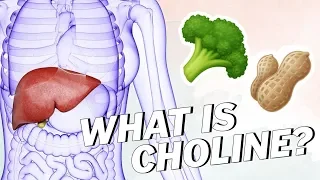 What Is CHOLINE? (And Can You Get it On a Vegan Diet)