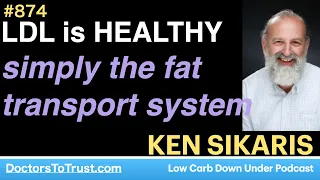 KEN SIKARIS 1 | LDL is HEALTHY. simply the fat transport system