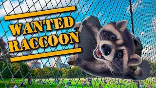 Грабеж на Стройке!!! Wanted Raccoon часть 3