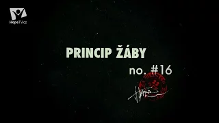 Důkaz o Bohu: Princip žáby (16/26)