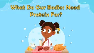 What Do Our Bodies Need Protein For? | Science Facts For Kids | Biology for Kids | The Human Body