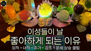 [타로]🦋이성들이 날 좋아하게 되는 이유와 이성운을 더 높이기 위한 나만의 꿀팁🔮