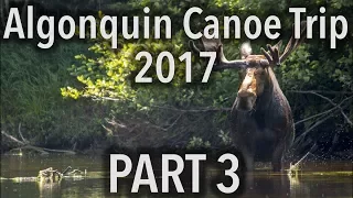 Algonquin 8-Day Canoe Trip 2017 - PART 3