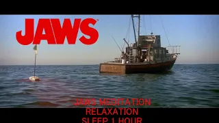 Jaws Soundtrack Meditation relaxation sleep 1 hour Waves Beach Sounds Ambient