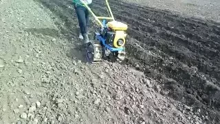 Homemade walk behind tractor.  Plowing