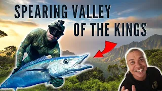 Spearfishing Hawaii EPIC DAY in Valley of the Kings {w/Justin Lee}