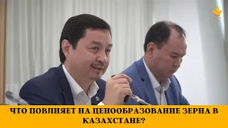 Что повлияет на ценообразование зерна в Казахстане?