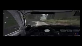 DiRT Rally gameplay