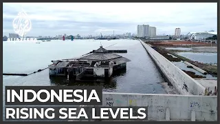 Most of Jakarta’s coastal areas could be submerged by 2050