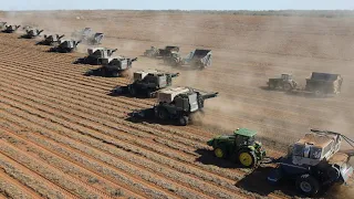 G&M Farms Peanut Harvest - 2020