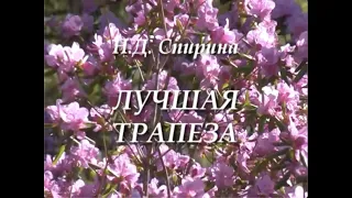 ЛУЧШАЯ ТРАПЕЗА. Наталия Спирина