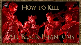 Demon's Souls - How to kill all Black Phantoms - Easy Kill + Location