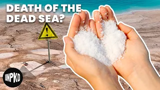 What Can We Do To Stop The Dead Sea From Dying? | Unpacked