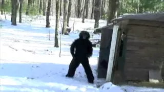 CHICKEN FARMER'S DISTURBING BIGFOOT FOOTAGE