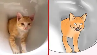 😂Cat Meme s: Skibidi Toilet Cat and Funniest Dogs - Drawing Memes Part 9 😅 Trending Funny Animals 😹|