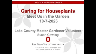 Meet Us in the Garden: Houseplant Care