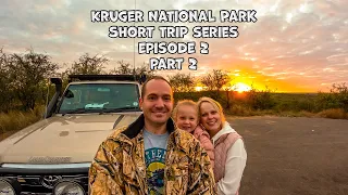 Kruger Short trip in the North with amazing Wildlife sightings