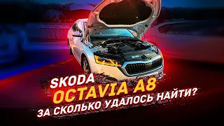 Отличная Skoda Octavia A8 / И какой у них рынок?