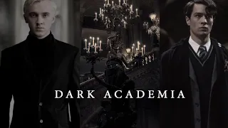 Dark Academia Playlist // Draco Malloy x Tom Riddle // Harry Potter Aesthetic Study Music