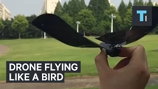 This drone looks and flies just like a bird