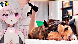 Anny Vtuber Reacts To UNUSUAL MEMES Compilation |