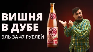 Вишня в дубе — Обзор пива от Миши