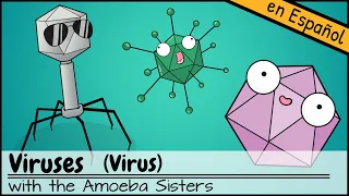 Virus