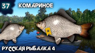 Русская рыбалка 4 - Трофейный Карась на Комарином ! [#37]