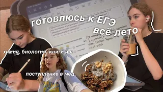 самое продуктивное лето в жизни или как я готовлюсь к егэ