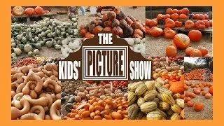 Pumpkins and Squash Vocabulary Flash Cards - The Kids' Picture Show (Fun & Educational)